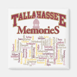 Tallahassee minnen magnet