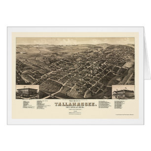 Tallahassee panorama- karta för FL - 1885 Hälsningskort