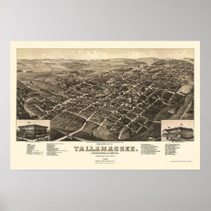 Tallahassee panorama- karta för FL - 1885 Poster