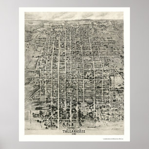 Tallahassee panorama- karta för FL - 1926 Poster