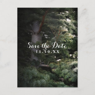 Tallar Tallrik Skog Save the Date-fest Meddelande Vykort