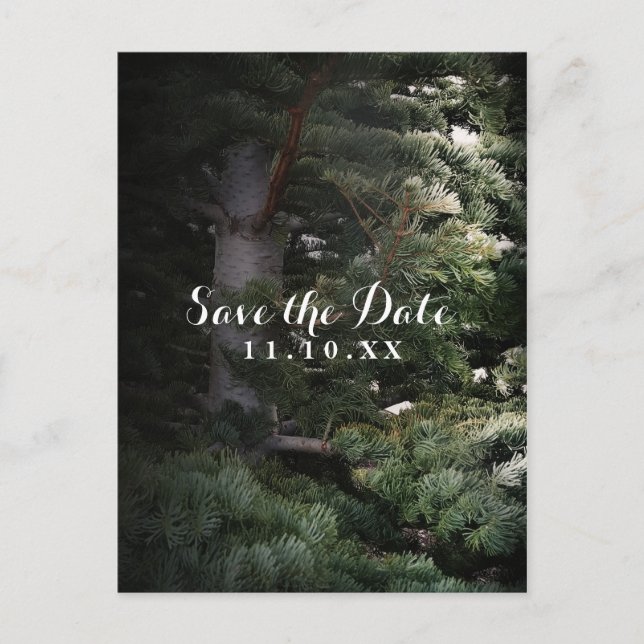Tallar Tallrik Skog Save the Date-fest Meddelande Vykort (Framsida)