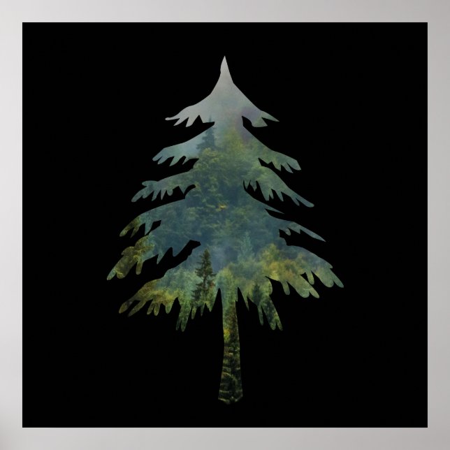 Tallgran in i skogen  poster (Framsidan)