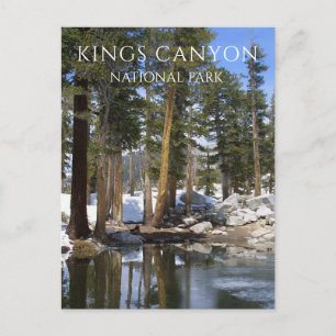 Tallgranskog, Snö, Sequoia Lake, Kings Canyon NP Vykort