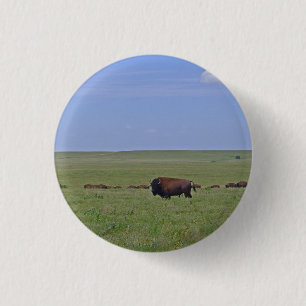 Tallgräs Prairie National Preserve - Kansas Knapp