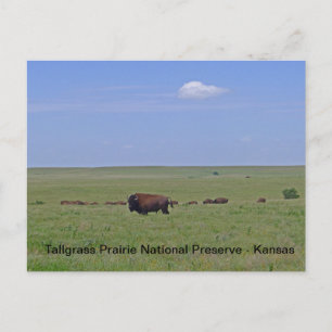 Tallgräs Prairie National Preserve - Kansas Vykort