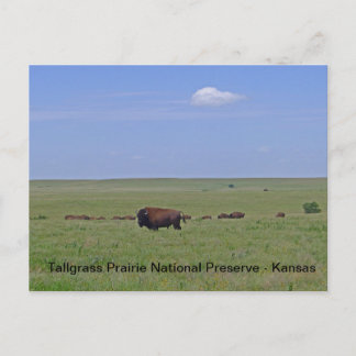 Tallgräs Prairie National Preserve - Kansas Vykort