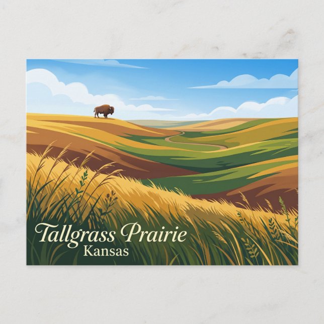 Tallgrass Prairie National Preserve USA Vykort (Framsida)