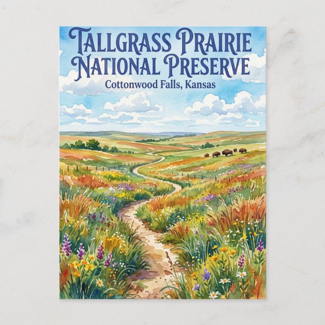 Tallgrass Prairie National Preserve USA Vykort (Framsida)