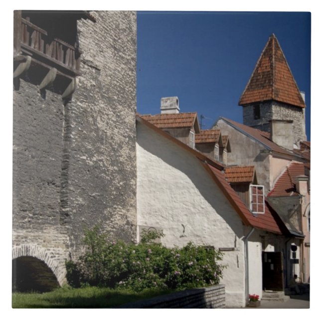 Tallin, Estland. Tallin är något av en Kakelplatta (Framsidan)