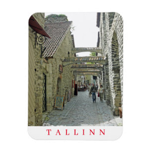 Tallinn St. Catherine's Passage view-kylmagnet Magnet