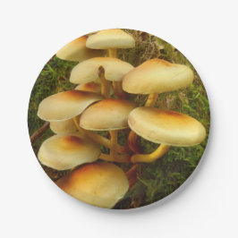 Tallrikar för papper för Hypholoma