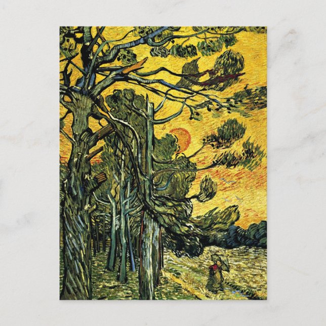 Tallträd mot en röd himmel vykort (Framsida)