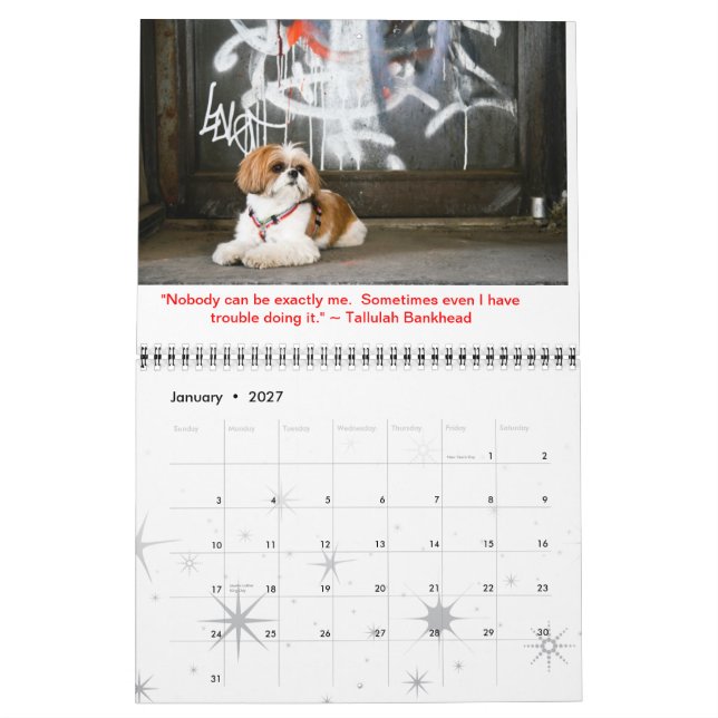 Tallulah Bean Calendar Cute Shih Tzu Kalender (Jan 2027)