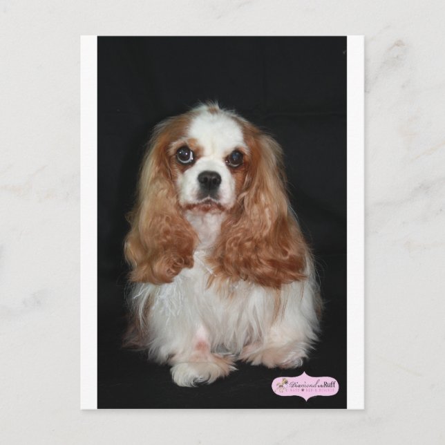 Tallulah Vykort (Framsida)