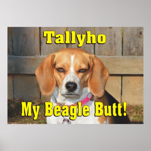 Tallyho min Beagle Butt! Grumpy Beagle Poster (Framsidan)