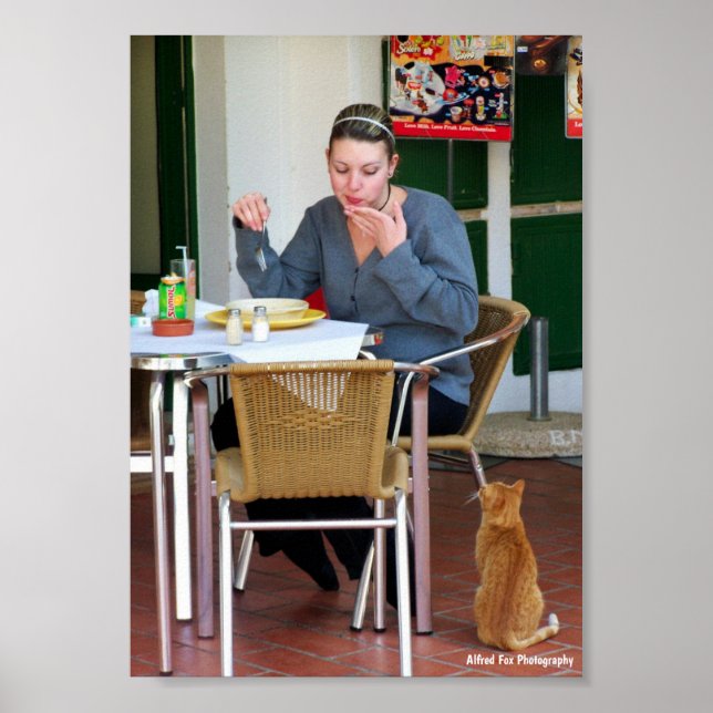 Tålmodigt Väntande Poster (Framsidan)