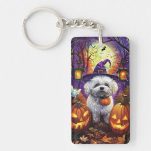 Taloky Bichon frise Halloween Witch och Pumpkin