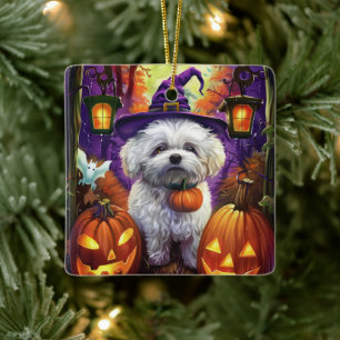 Taloky Bichon frise Halloween Witch och Pumpkin Julgransprydnad Keramik