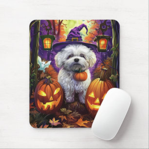 Taloky Bichon frise Halloween Witch och Pumpkin Musmatta