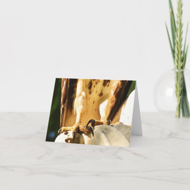 Taloner (rödskalig Hawk #2) - Tomt anteckningskort (Framsida)