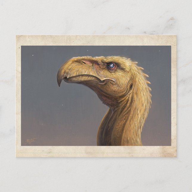 Talons chef - vykort (Framsida)