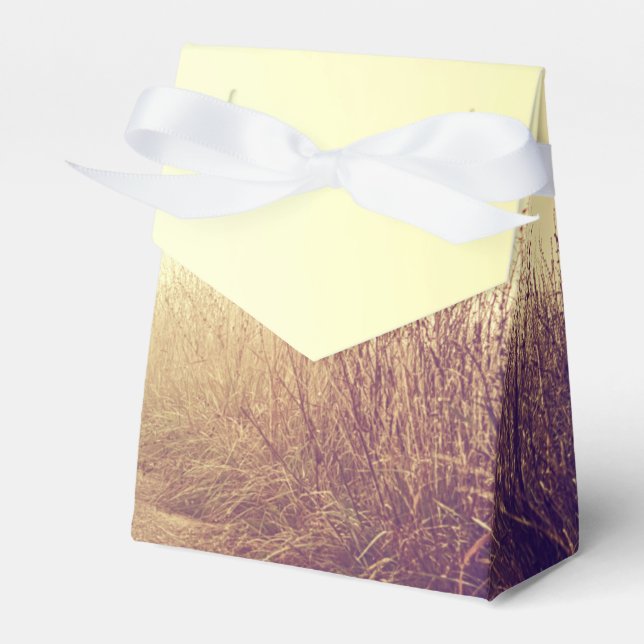 Tält Papper Favoritbox Sunrise Pathway Walkway Väg Presentaskar (Framsidan Sidan)