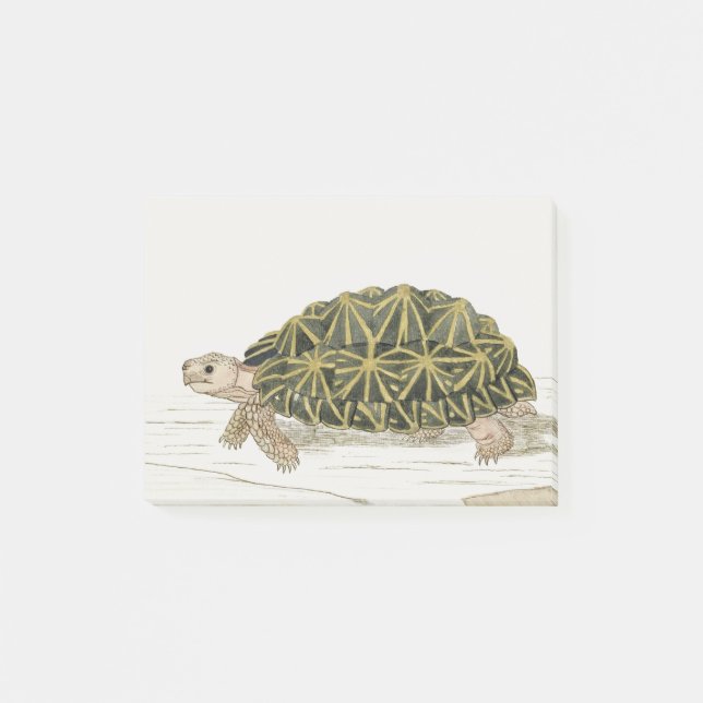 Tält Tortoise | Turtle Beach Sea Animal Post-it Block (Framsida)