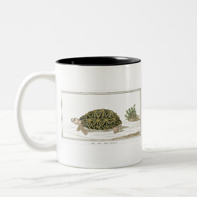 Tält Tortoise | Turtle Beach Sea Animal Två-Tonad Mugg (Vänster)