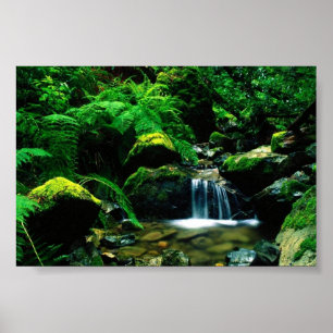 Tamalpais State Park, CA Poster