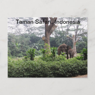 Taman Safari Vykort