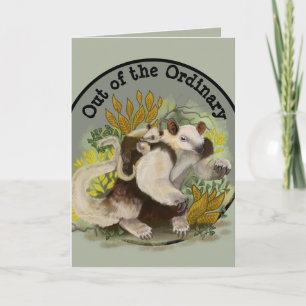 Tamandua Anteater Kort