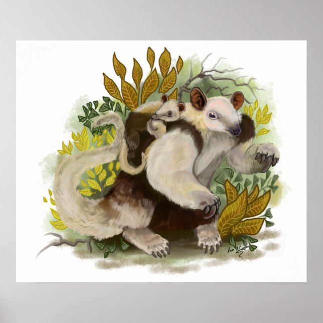 Tamandua Anteater Poster (Framsidan)