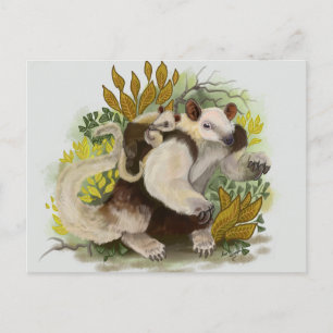 Tamandua Anteater Vykort