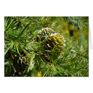 "Tamarack Cone" Hälsningskort