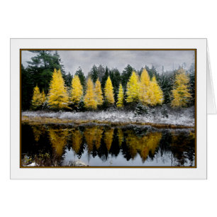 Tamarack Dreams Card Hälsningskort
