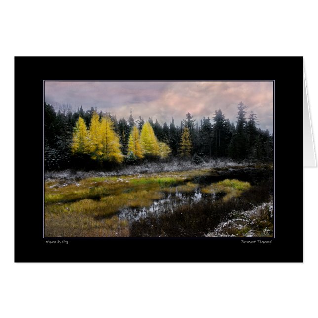 Tamarack storm hälsningskort (Framsidan Horizontal)