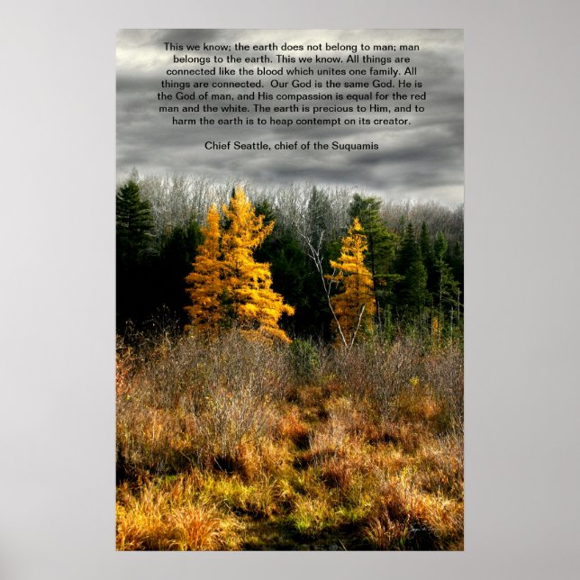 Tamarack Three Seattle Quote Card, Seattle Quote Poster (Framsidan)