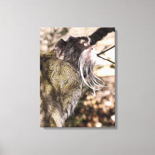 TAMARIN MONKEY CANVASTRYCK