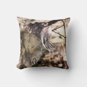 TAMARIN MONKEY KUDDE