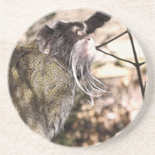 TAMARIN MONKEY UNDERLÄGG