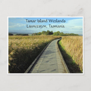 tamarvåtmarker väg vykort