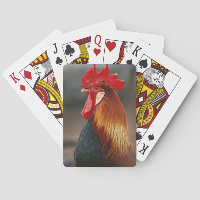 Tamdjur tupphane spel kort (Baksidan)