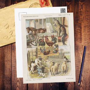 Tame Farm Animal Collection Ephemeral Vykort