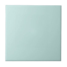 Tamed Teal Turcoise Square Kitchen and Bathroom Kakelplatta