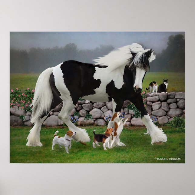 "Tamlin & The Valps" Poster (Framsidan)