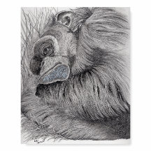 Tammy the Chimp - Skum Board