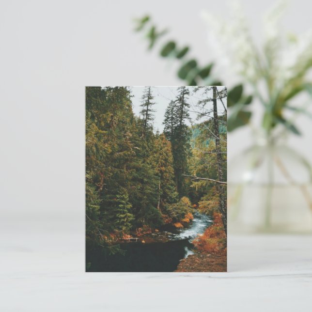 Tamolitch Falls (blå Bassäng) Helg Vykort (Stående Fram)