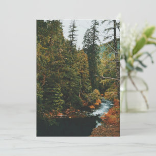 Tamolitch Falls (blå Bassäng) Julkort