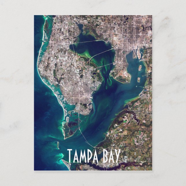 Tampa Bay Florida Satellite Image Vykort (Framsida)